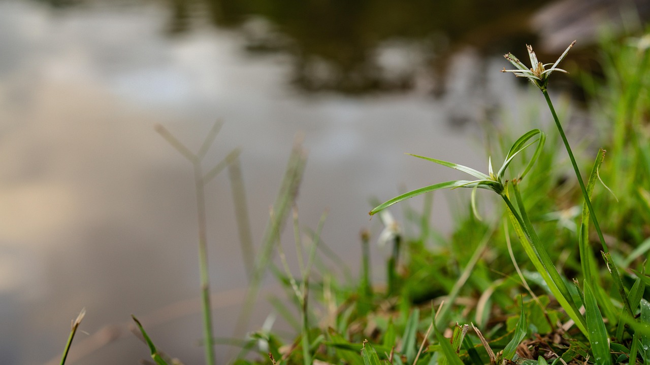 エイジングケアサプリを30代インフルエンサーがPRする際の見分け方は？